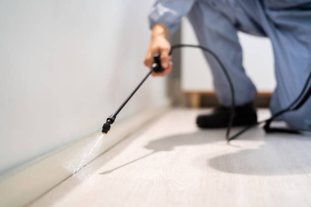 Licensed Mosquito Control service in Alma, AR - Show Me Pest Control
