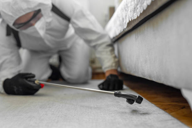 Professional Ant Control technician working in Alma, AR