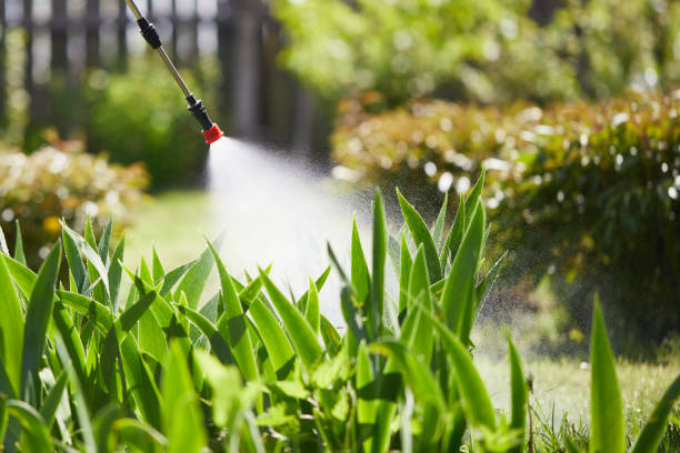 24/7 Emergency Mosquito Control experts in Alma, AR